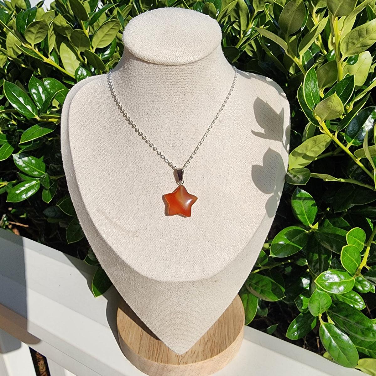 elevated-calm-carnelian-star-