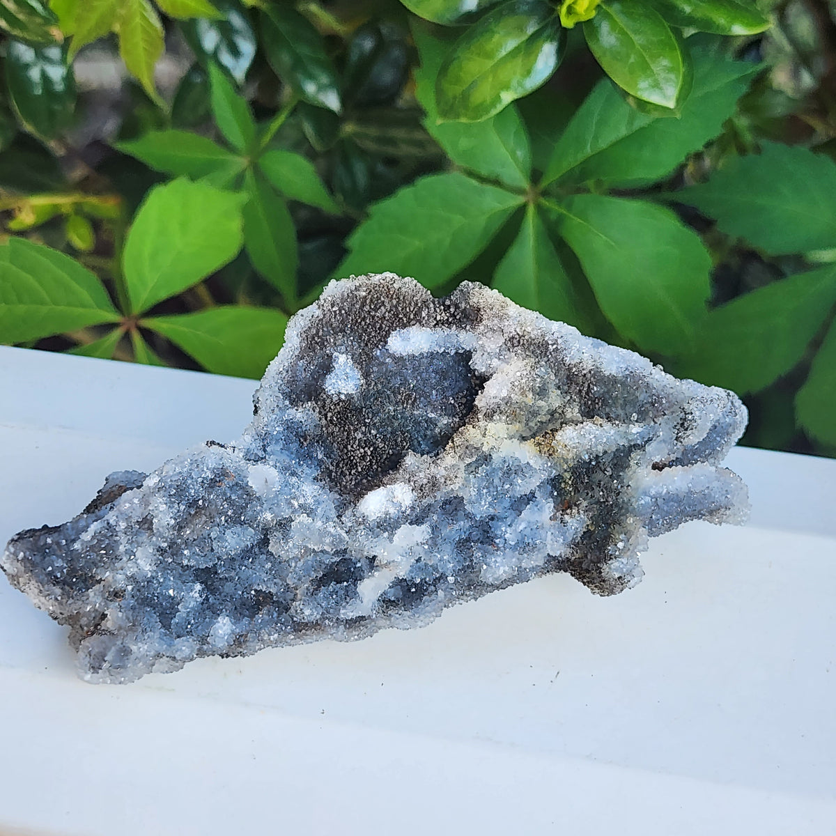 Sphalerite - Druzy - A – Elevated Calm