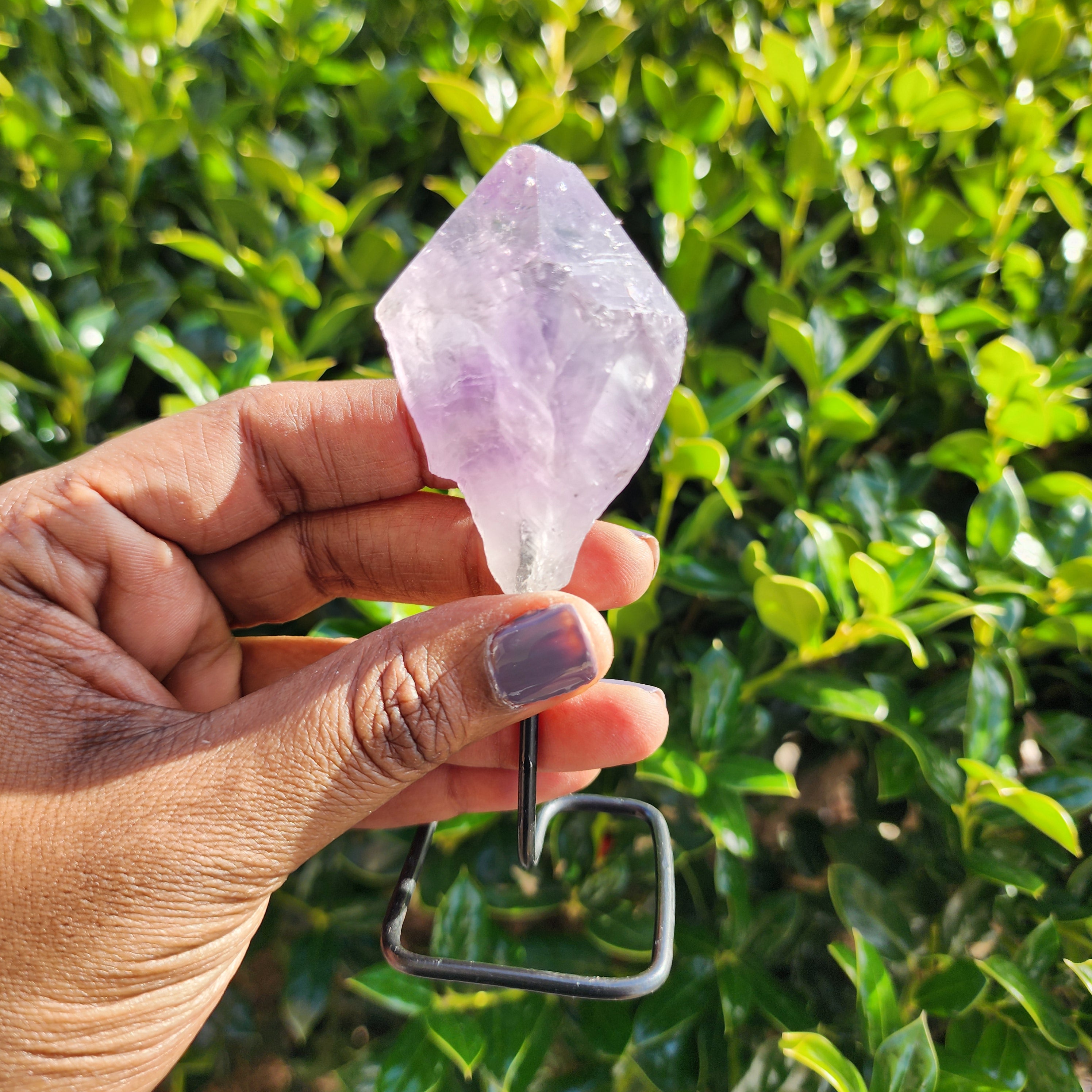 Elevated Calm Amethyst on Stand