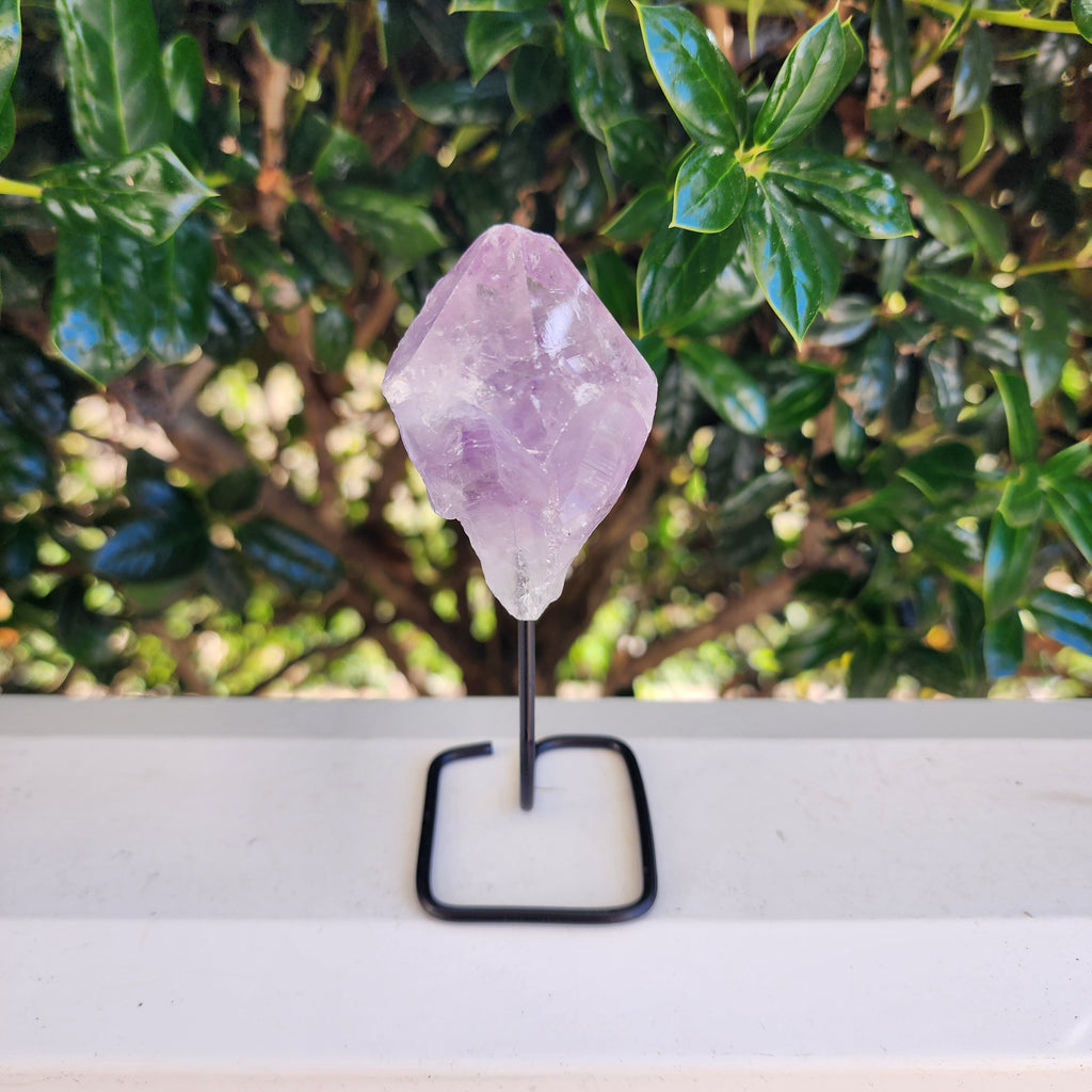 Elevated Calm Amethyst on Stand