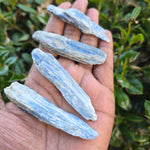 Elevated Calm | Blue Kyanite