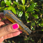 Elevated Calm | Blue Tiger Eye DT