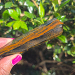 Elevated Calm | Blue Tiger Eye DT