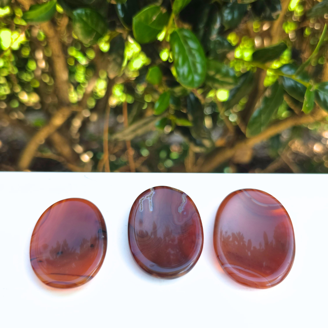 Elevated Calm | Carnelian Worry Stone