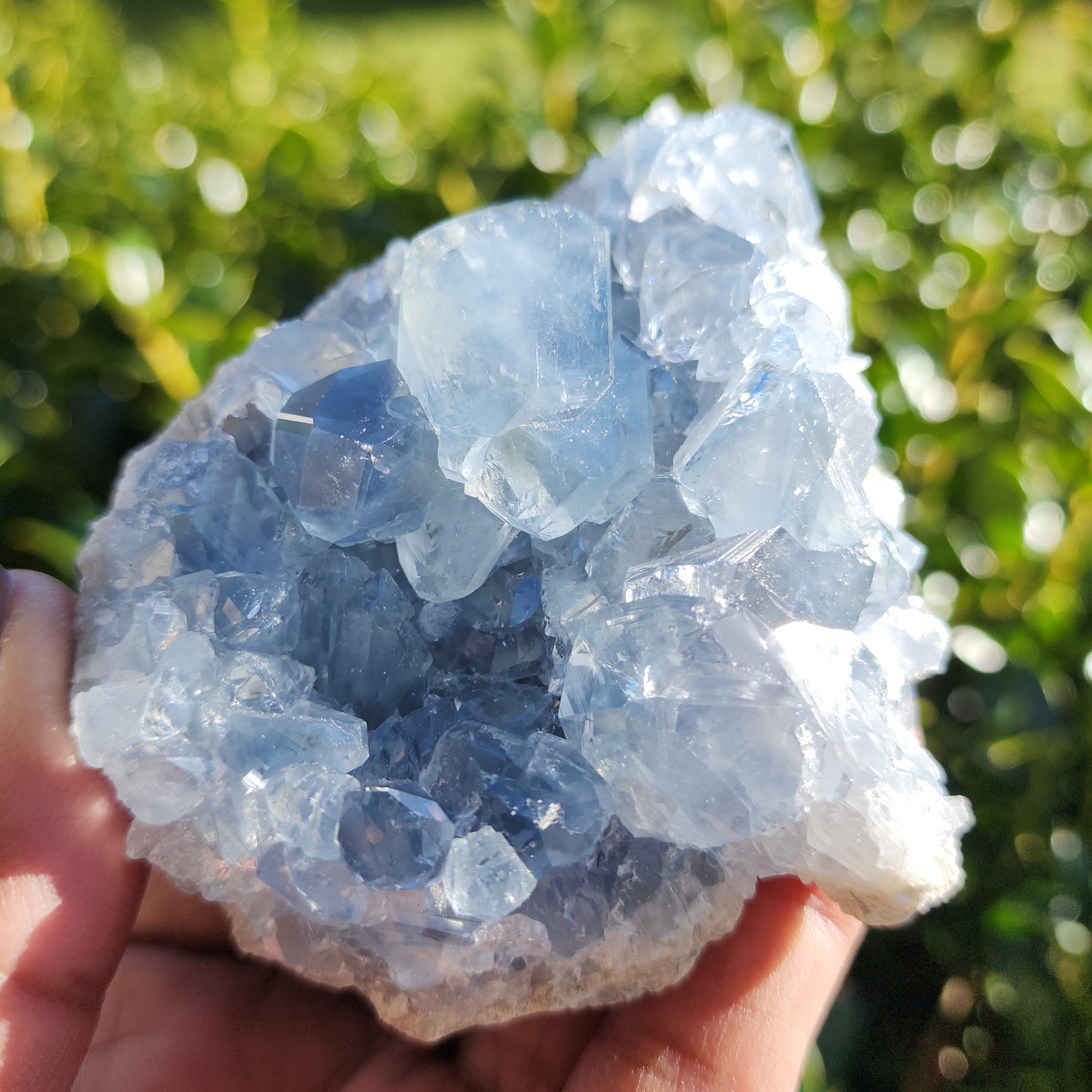 Elevated Calm Celestite