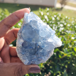 Elevated Calm Celestite