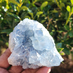 Elevated Calm Celestite