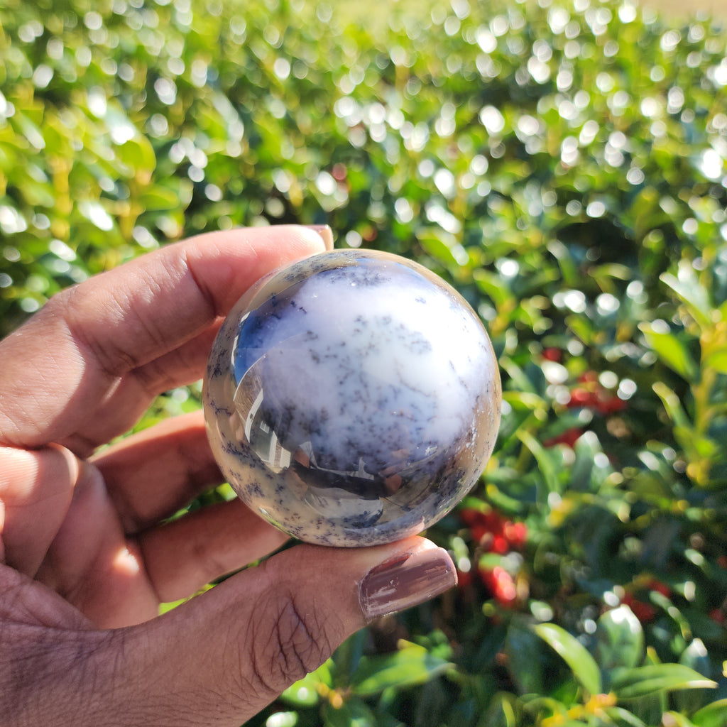 Elevated Calm | Dendritic Agate Sphere
