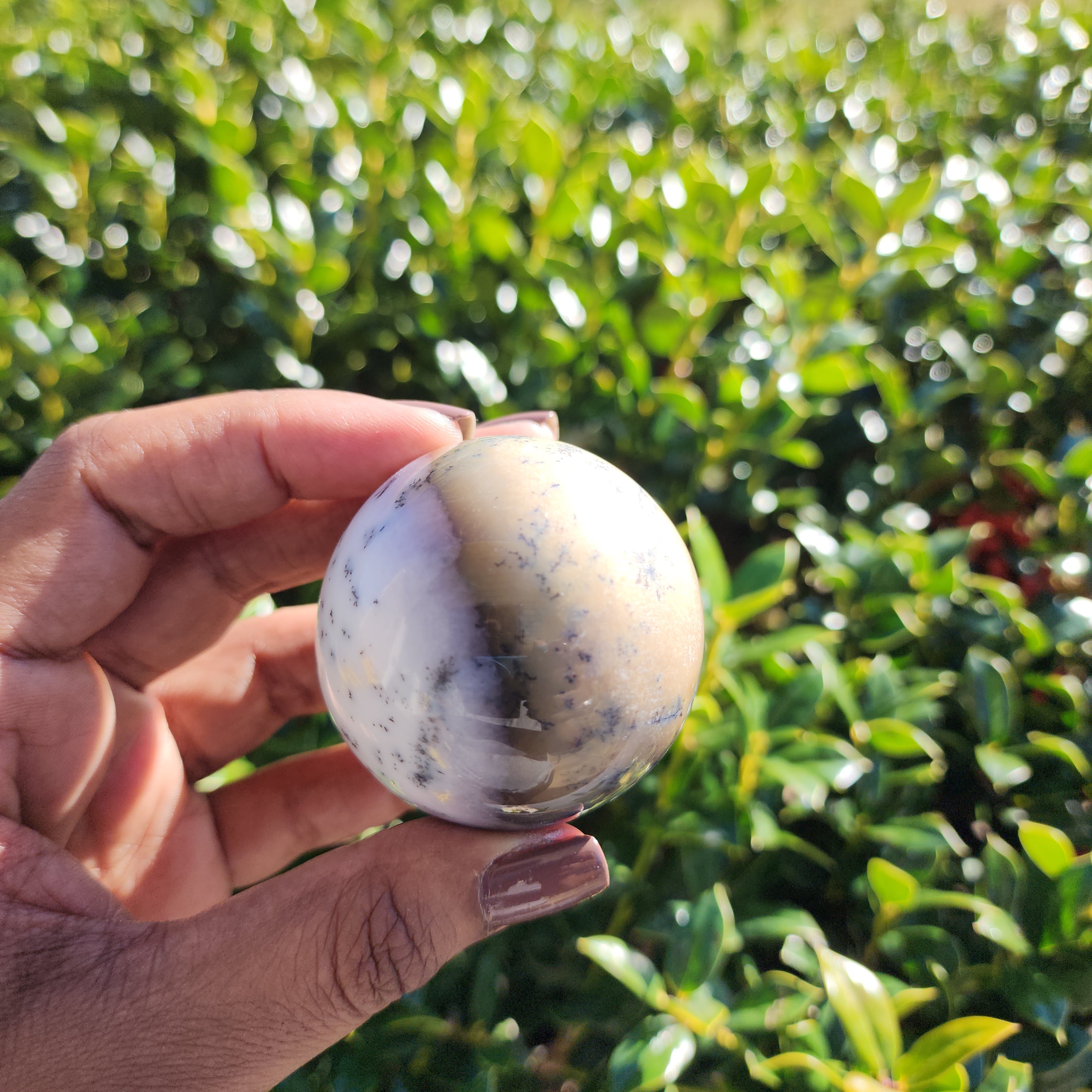 Elevated Calm | Dendritic Agate Sphere