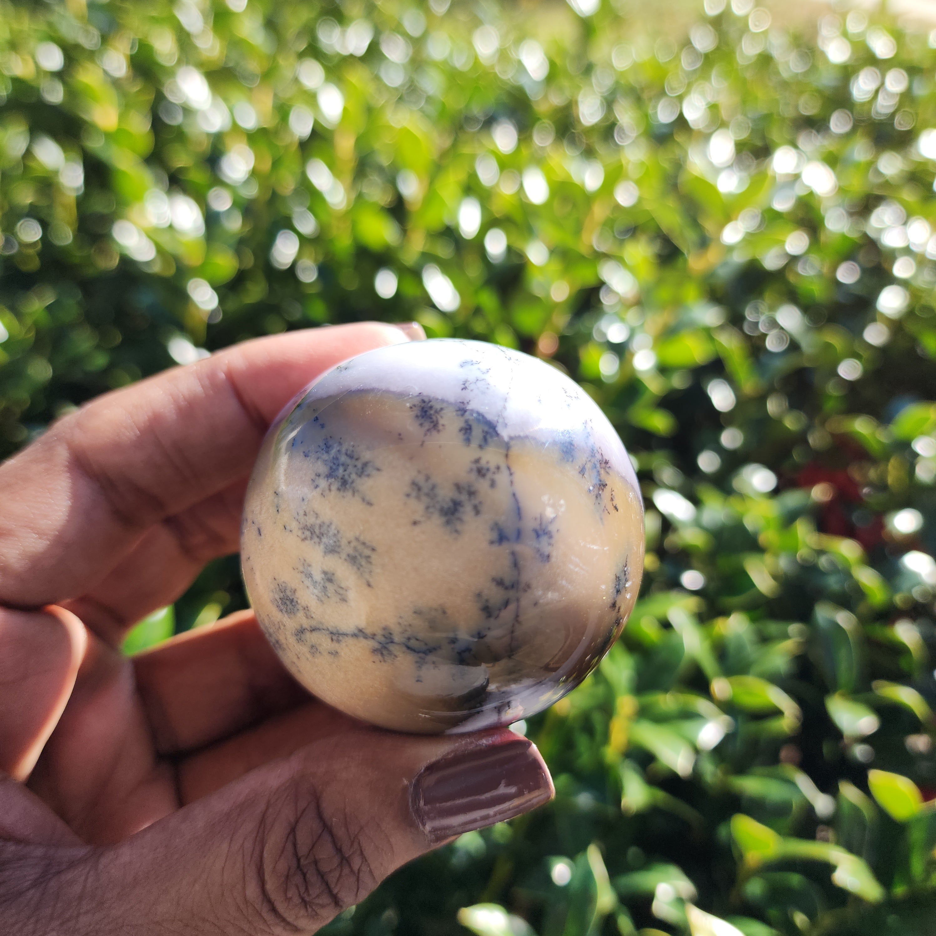 Elevated Calm | Dendritic Agate Sphere
