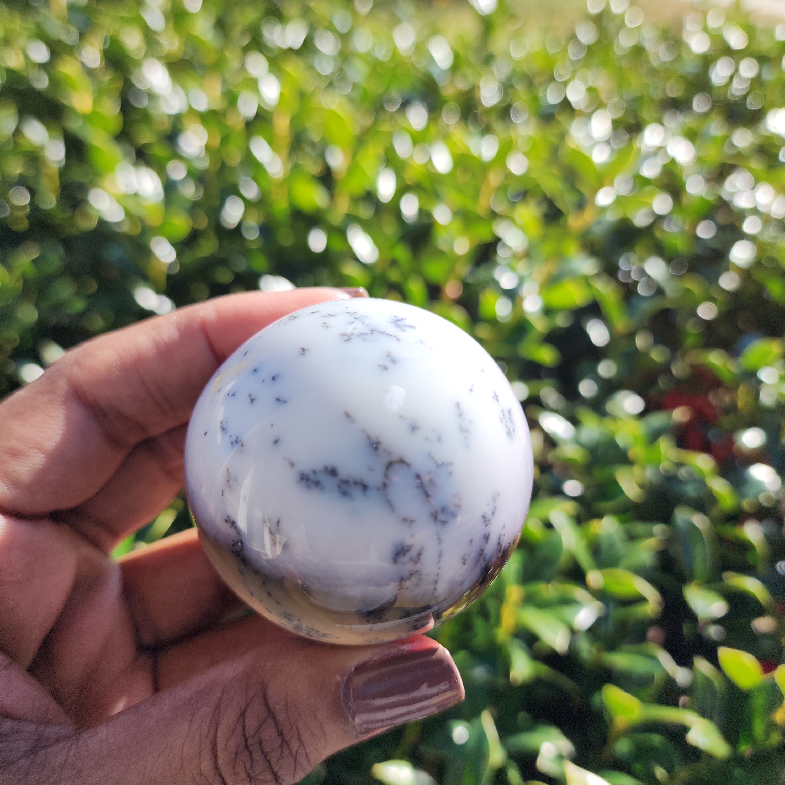 Elevated Calm | Dendritic Agate Sphere