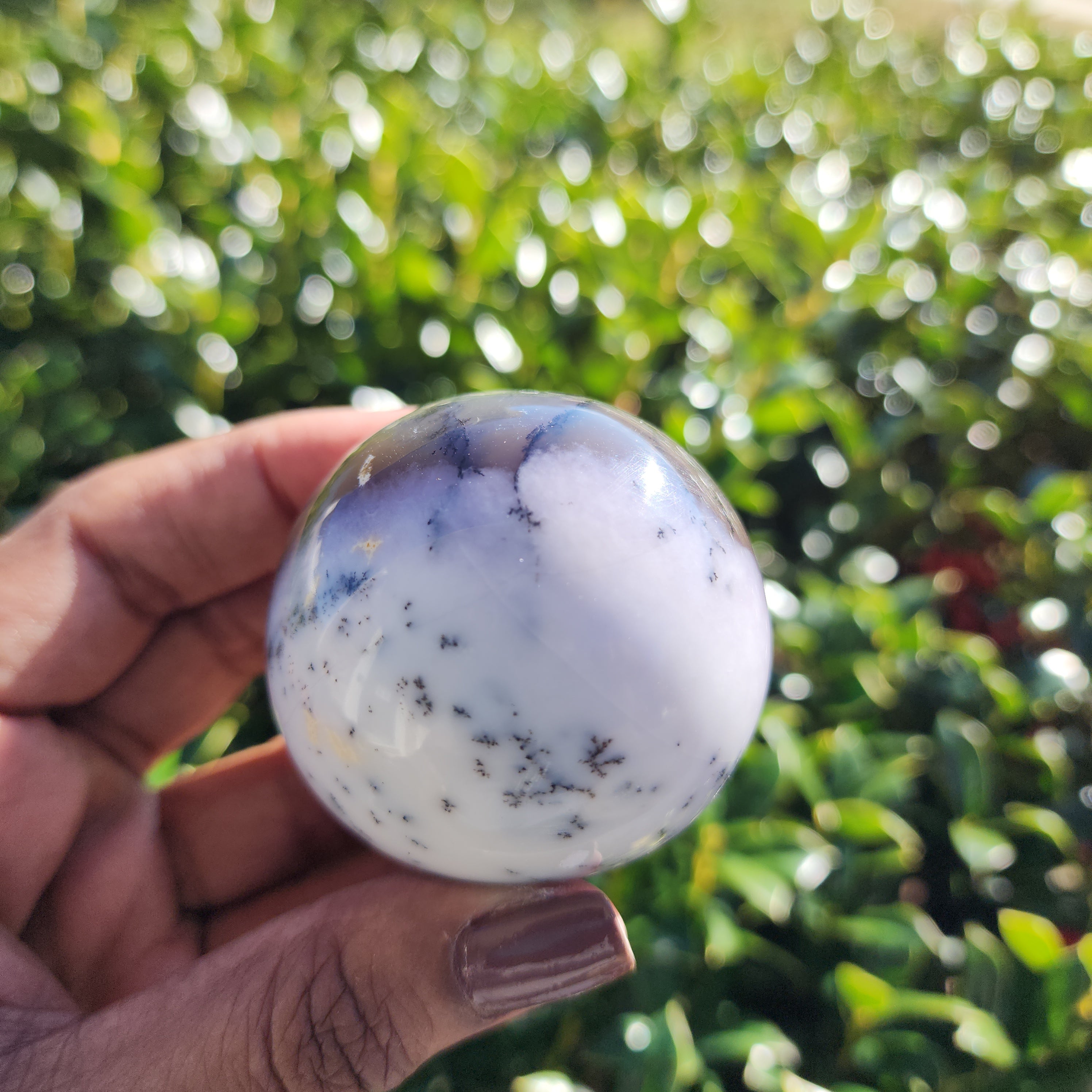 Elevated Calm | Dendritic Agate Sphere
