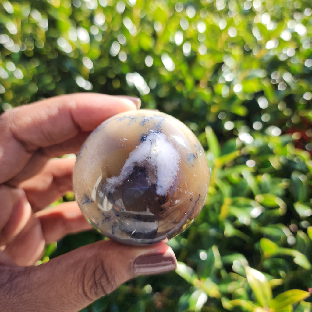 Elevated Calm | Dendritic Agate Sphere