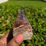 Elevated Calm | Garnet Semi-Polished Point