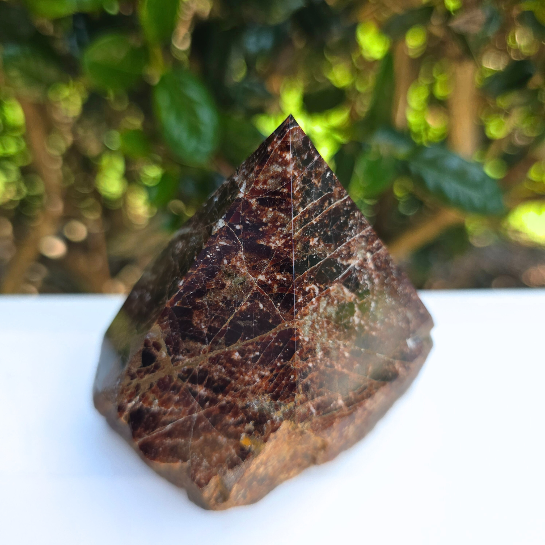 Elevated Calm | Garnet Semi-Polished Point