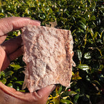 Elevated Calm | Himalayan Quartz