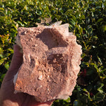 Elevated Calm | Pink Himalayan Quartz