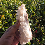 Elevated Calm | Pink Himalayan Quartz