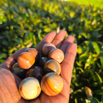 Elevated Calm | Polychrome Jasper Mini Sphere