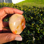 Polychrome Jasper Palm Stone - A