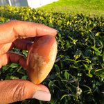Elevated Calm | Polychrome Jasper Palm Stone