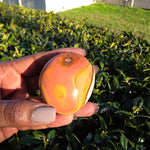 Polychrome Jasper Palm Stone - B