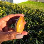 Polychrome Jasper Palm Stone - B
