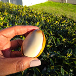 Polychrome Jasper Palm Stone - B