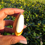 Polychrome Jasper Palm Stone - B