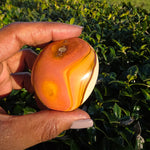 Polychrome Jasper Palm Stone - B
