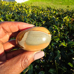 Polychrome Jasper Palm Stone - C