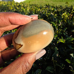 Polychrome Jasper Palm Stone - C