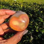 Polychrome Jasper Palm Stone - D