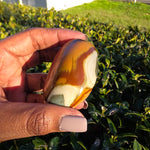 Polychrome Jasper Palm Stone - E