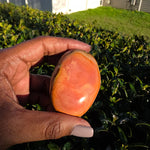 Polychrome Jasper Palm Stone - E