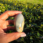 Polychrome Jasper Palm Stone - F