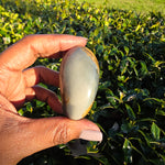Polychrome Jasper Palm Stone - F