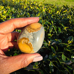 Elevated Calm | Polychrome Jasper Palm Stone