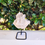 Elevaated Calm Clear Quartz