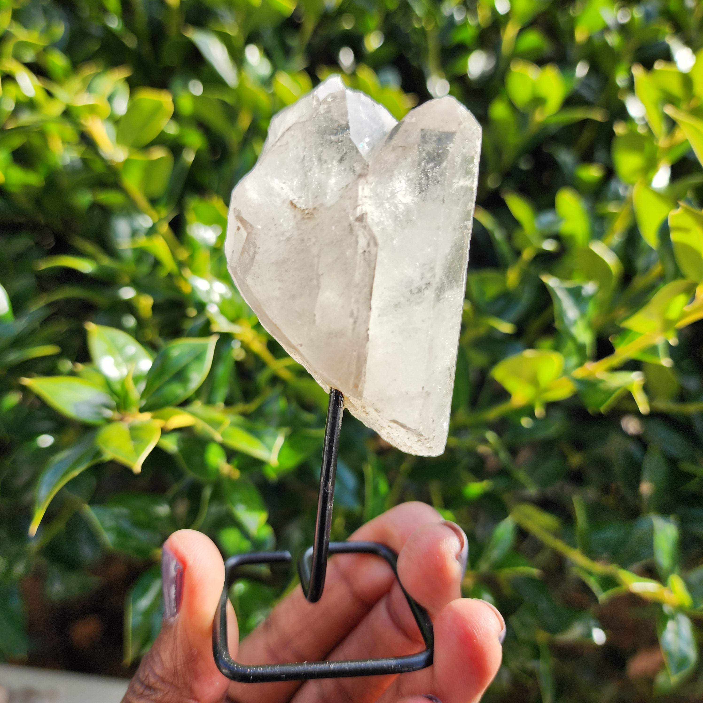 Elevaated Calm Clear Quartz