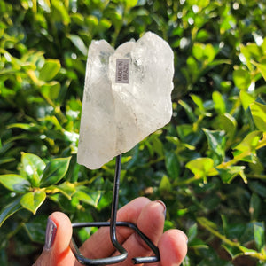 Elevaated Calm Clear Quartz