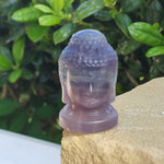 Elevated Calm Fluorite Buddha