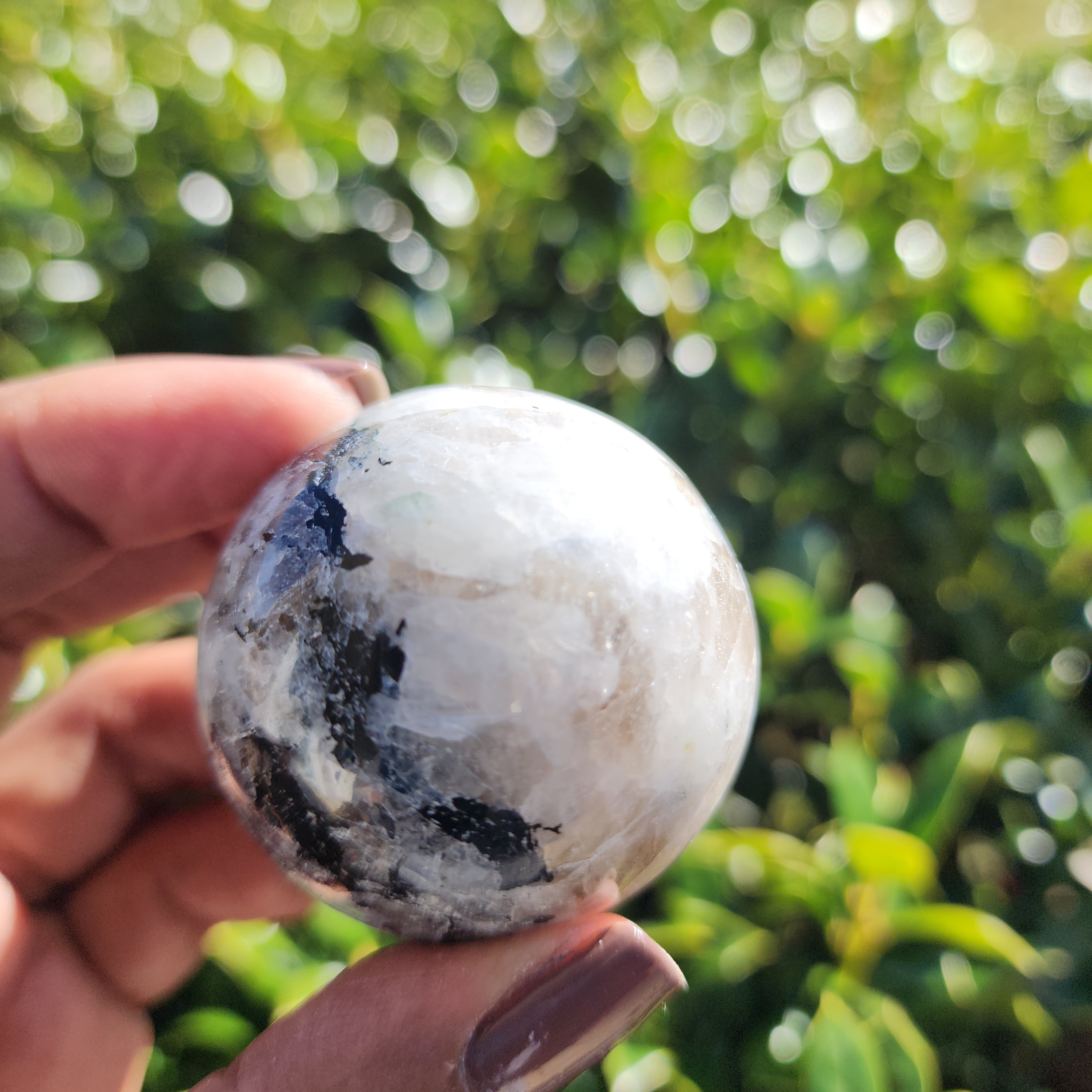 Elevated Calm Rainbow Moonstone Sphere