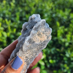 Elevated Calm Sphalerite