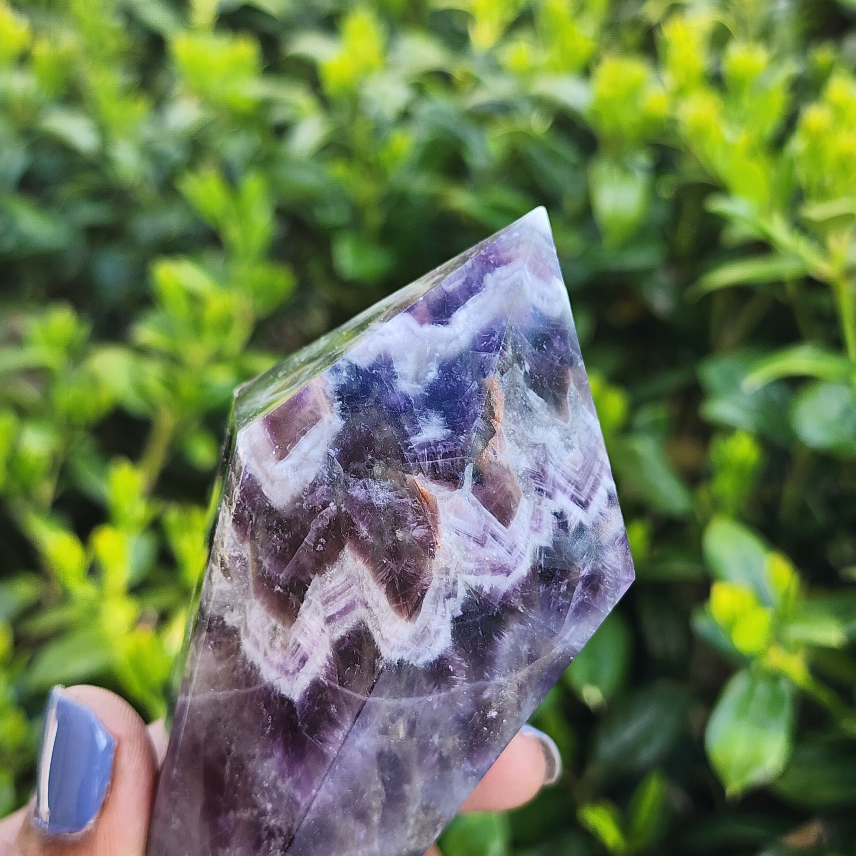 Elevated Calm Polished Amethyst Root