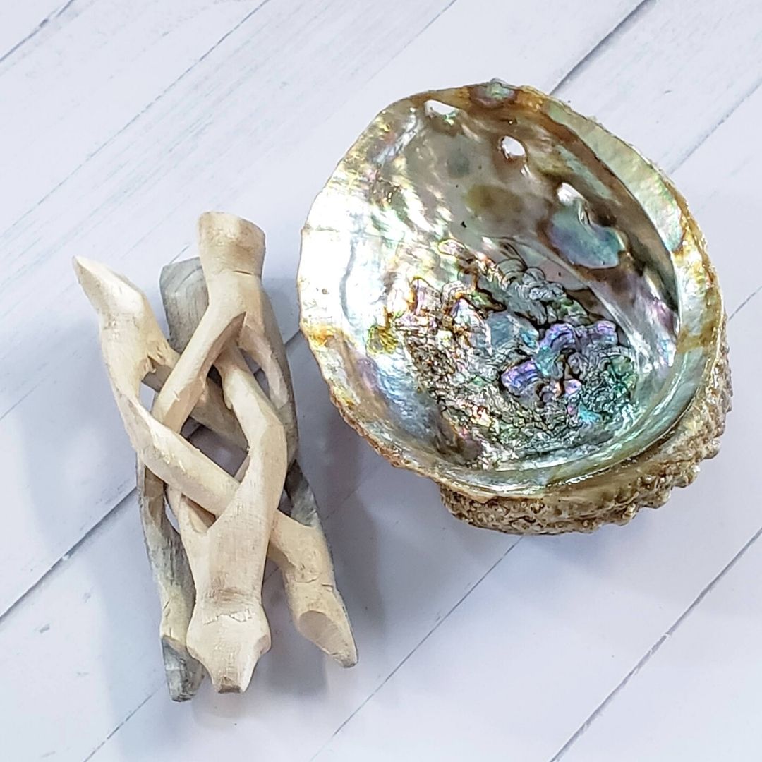 Elevated Calm Abalone Shell with Stand