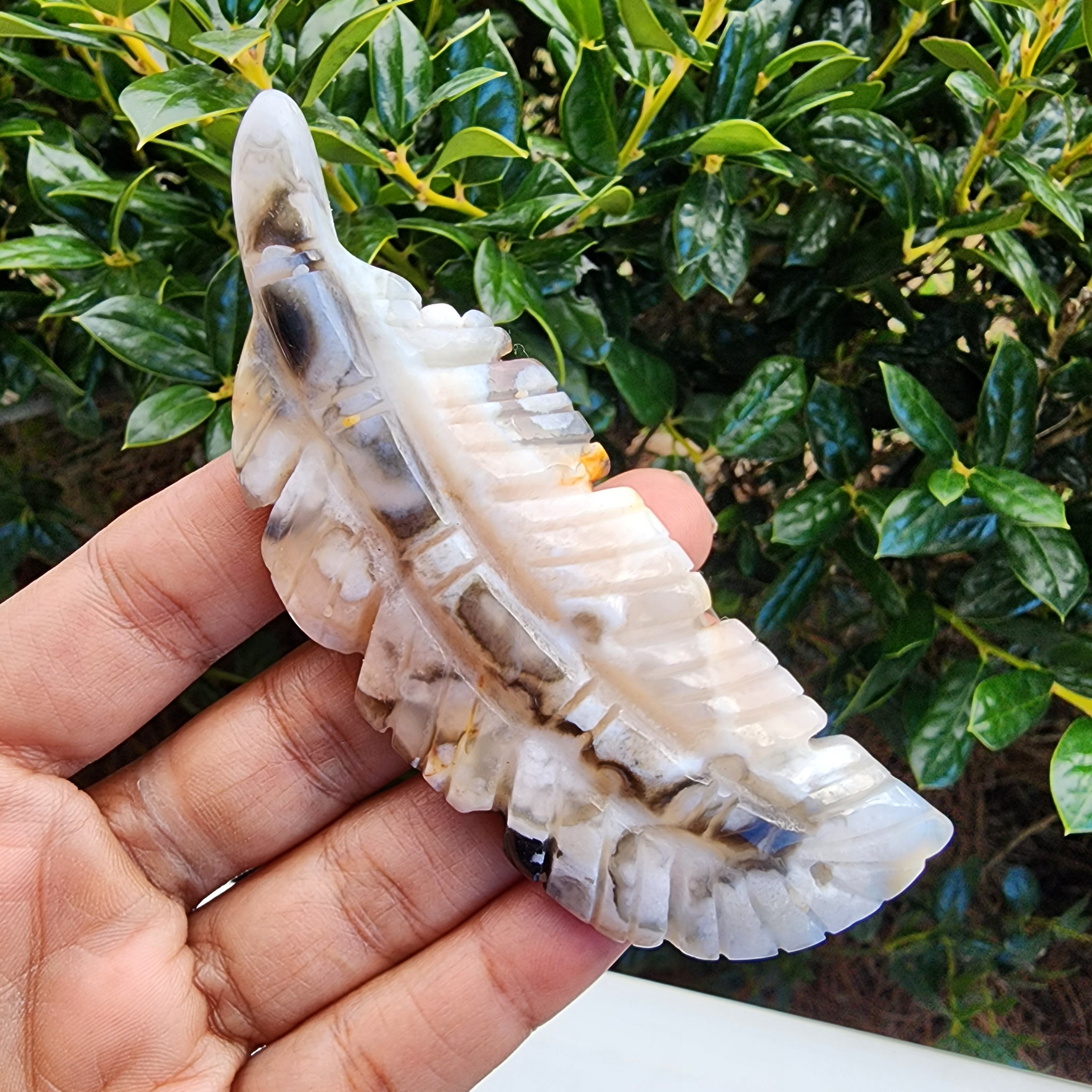 Elevated Calm Flower Agate Feather