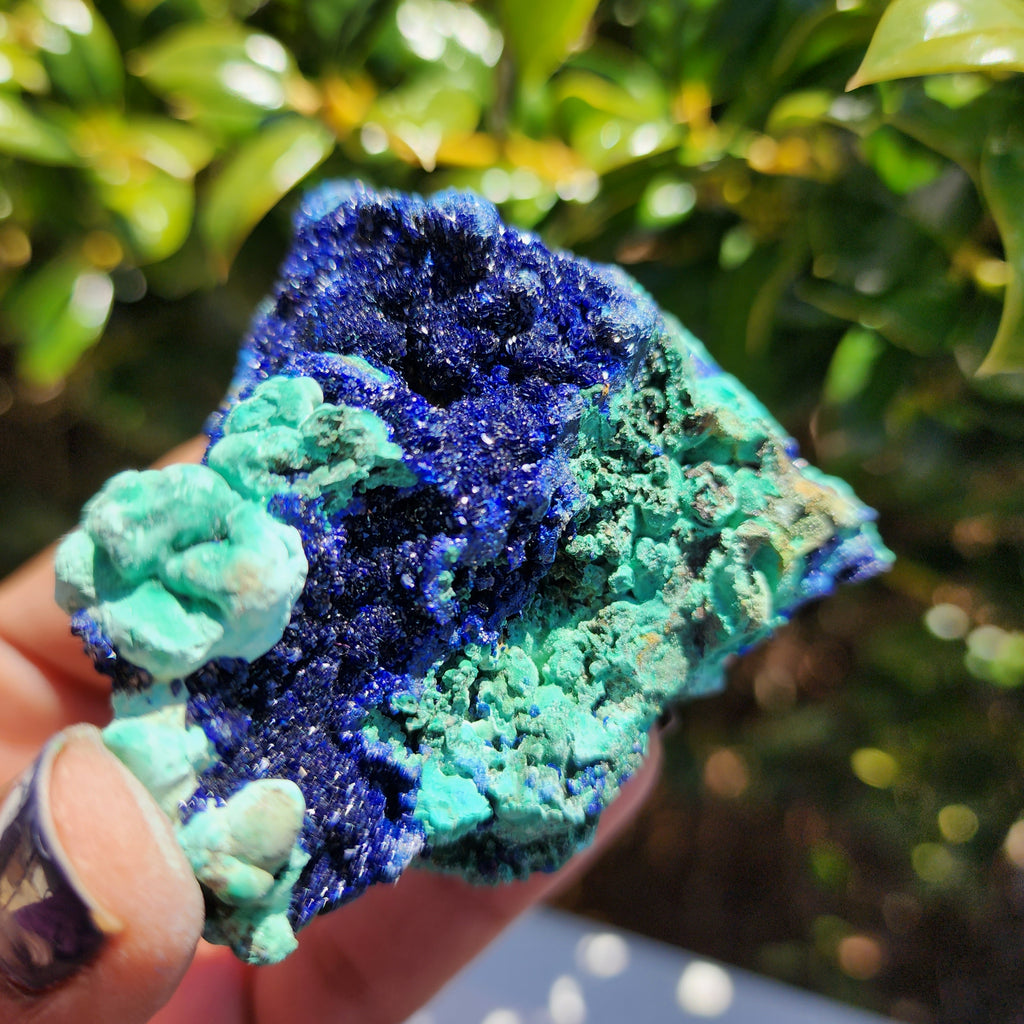 Elevated Calm Azurite Chrysocolla