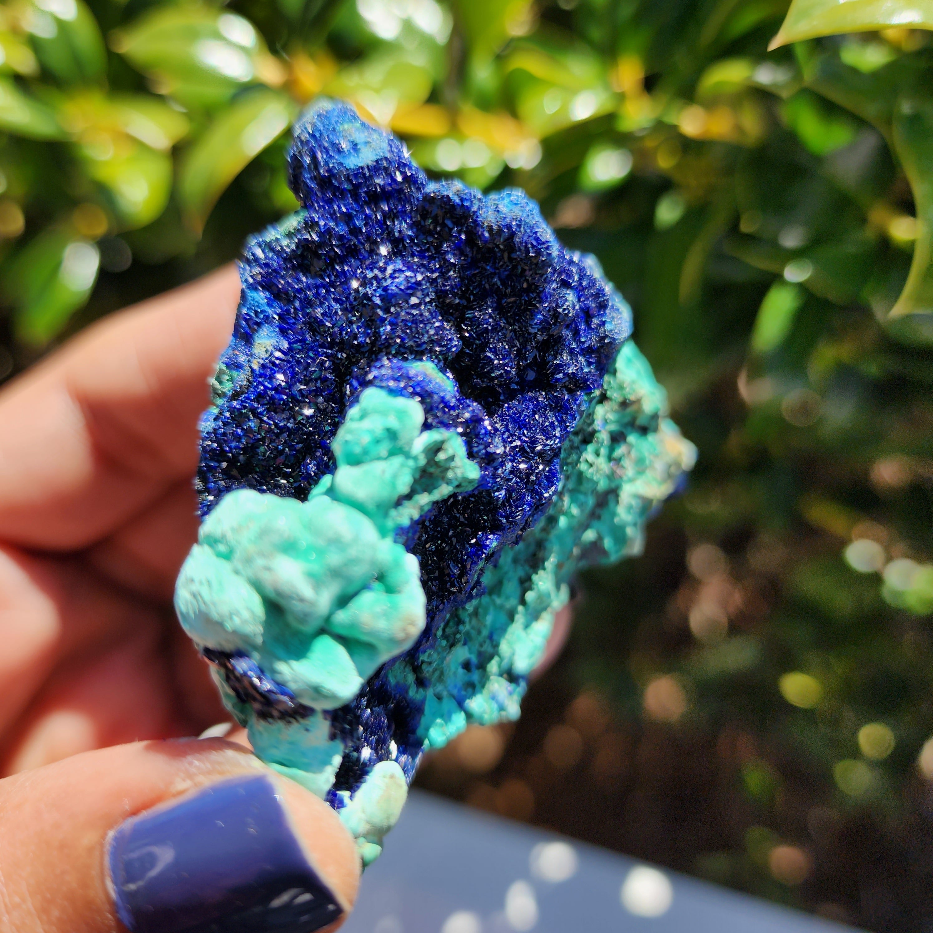 Elevated Calm Azurite Chrysocolla