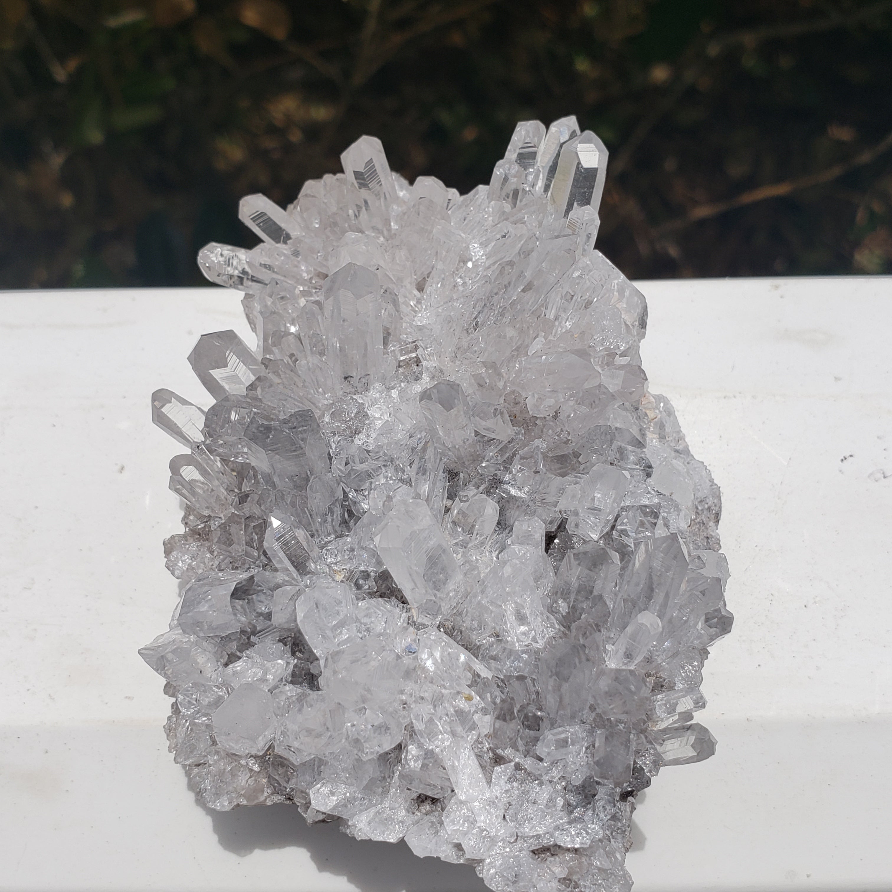 Elevated Calm Chrysanthemum Quartz